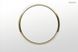Смывная клавиша Geberit Sigma10 115.758.KK.5 Декоративное кольцо: позолота, Золото