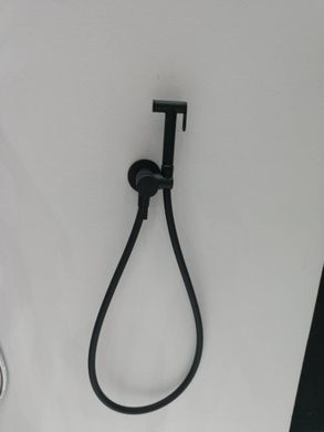 Черный гигиенический душ скрытого монтажа Giulini FSH25black, Черный