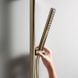 Ручной душ HANSGROHE PULSIFY S, Ecosmart, шлифованная бронза (24125140), бронза