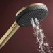 Ручной душ Hansgrohe Raindance Alive Select S 3jet EcoSmart, Brushed Bronze (24511140), бронза
