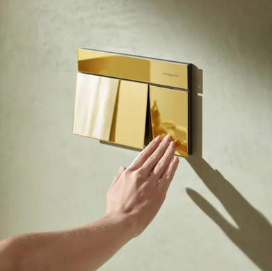 Клавиша смыва Hansgrohe iFrame Element E, Polished Gold Optic (66003990), Золото