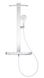 Душова система GROHE SPA Rainshower Aqua Pure з термостатом для настінного монтажу, хром (1009620000), Хром
