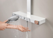 Душова система GROHE SPA Rainshower Aqua Pure з термостатом для настінного монтажу, хром (1009620000), Хром