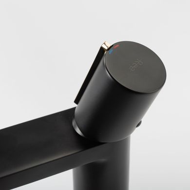 Змішувач для раковини (умивальника) REA ICON BLACK L.GOLD чорний низький