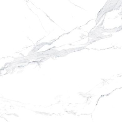 Плитка Allore Group Avenzo Silver F P R Satin 60x60 см, В наличии
