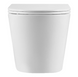 DCA0530111W Devit Calma Унитаз подвесной с крышкой soft-close, Vortex Flush, Белый